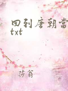 回到唐朝当皇帝txt