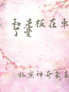 和老板在车里做了爱