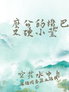 么公的机巴又粗又硬小莹