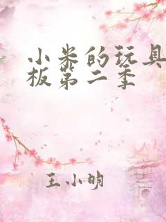 小米的玩具店老板第二季