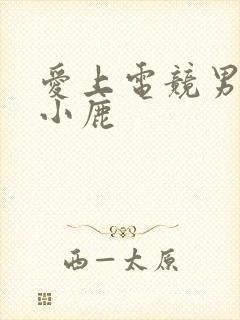 爱上电竞男神林小鹿