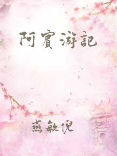 阿宾游记