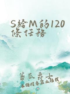 S给M的120条任务