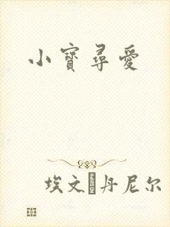 小宝寻爱