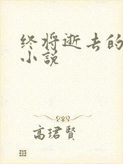 终将逝去的青春小说