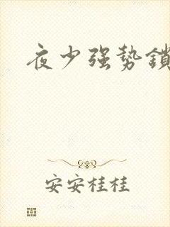 夜少强势锁婚