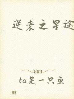 逆袭之星途闪耀