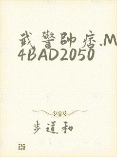 武警帅痞.MP4BAD2050