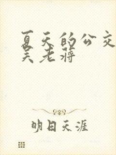 夏天的公交车老吴老蒋