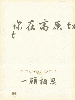 你在高原 txt