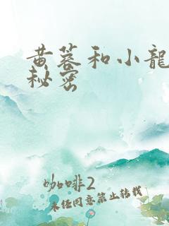 黄蓉和小龙女的秘密