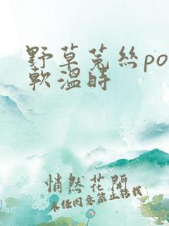 野草菟丝po温软温时