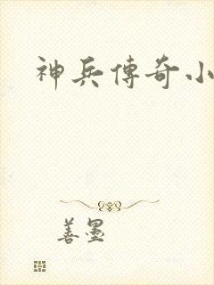 神兵传奇小说
