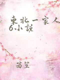 东北一家人1一6小说