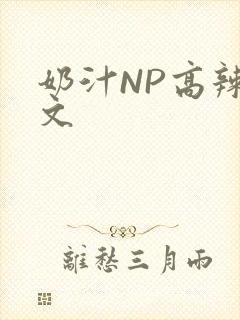 奶汁NP高辣H文
