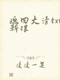 魂回大清txt新浪