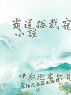 霸道总裁宠上天 小说