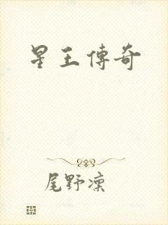 星王传奇