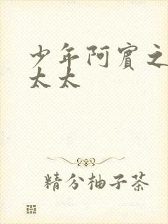 少年阿宾之房东太太