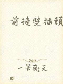 前后双插头互攻