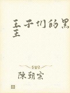 王子们的黑道公主