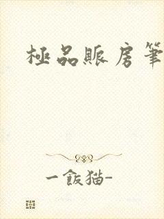 极品账房笔趣阁