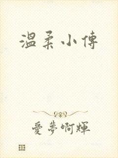 温柔小传