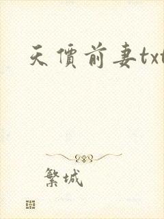 天价前妻txt