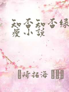知否知否绿肥红瘦小说