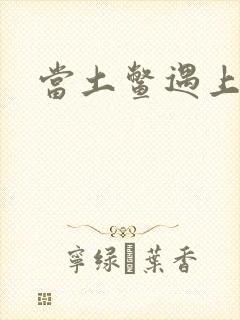 当土鳖遇上海龟