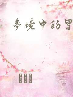 梦境中的冒险家