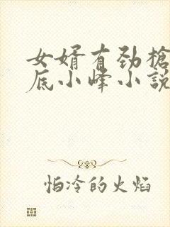 女婿有劲枪枪到底小峰小说