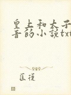 皇上和太子妃沈音的小说txt