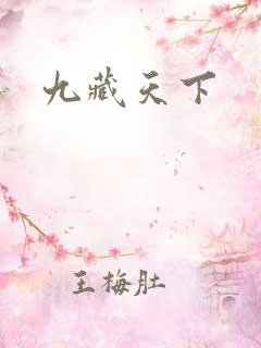 九藏天下