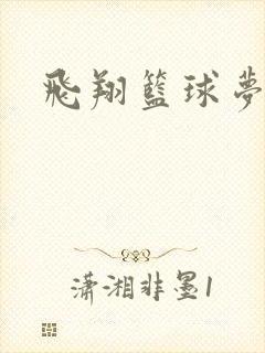 飞翔篮球梦下载