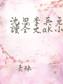 沈思李兵免费阅读全文ak小说