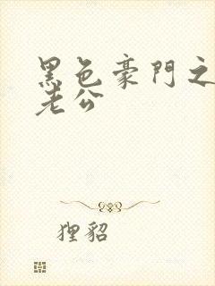 黑色豪门之王子老公