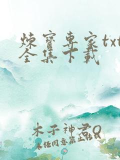 炼宝专家txt全集下载