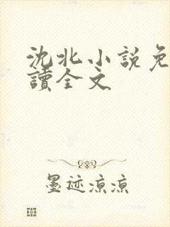 沈北小说免费阅读全文