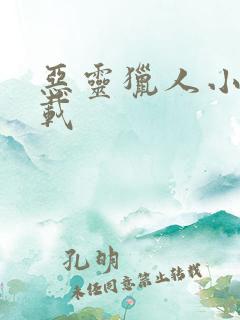 恶灵猎人小说下载