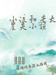 小流和老太69农夫小说