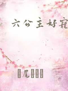 六公主好宠