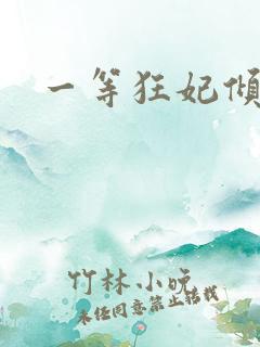 一等狂妃倾天下