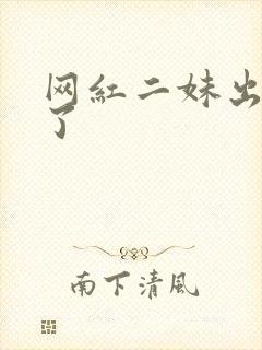 网红二妹出啥事了