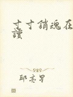 寸寸销魂在线阅读