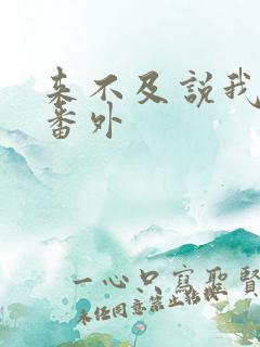 来不及说我爱你番外