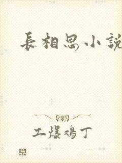 长相思小说原著