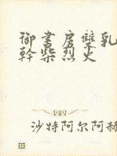 御书房双乳晃动干柴烈火