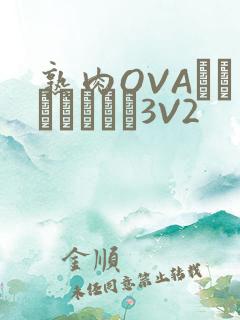 熟肉OVAちゃんはしたい3V2