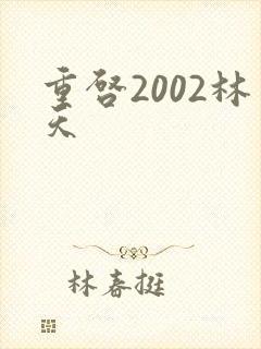 重启2002林天